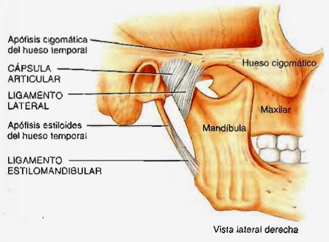 Columna cervical ATM